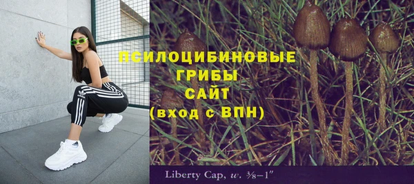 a pvp Алексеевка