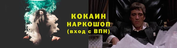 ПСИЛОЦИБИНОВЫЕ ГРИБЫ Аркадак
