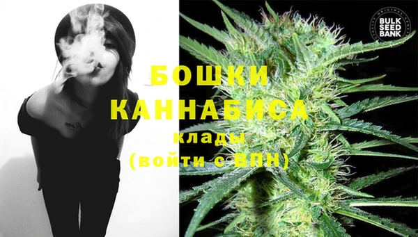 индика Магадан