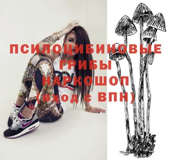 a pvp Алексеевка
